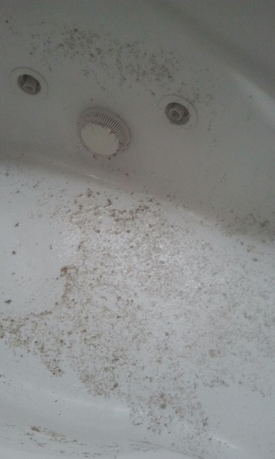Jetted tubs: relaxing or revolting?