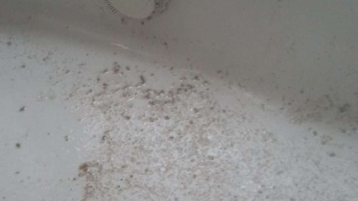 Jetted tubs: relaxing or revolting?