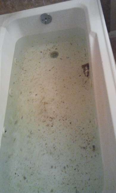 Biofilm in a bath tub