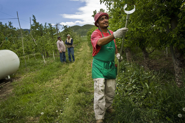 Hiring migrant workers a matter of survival for some Utah farms