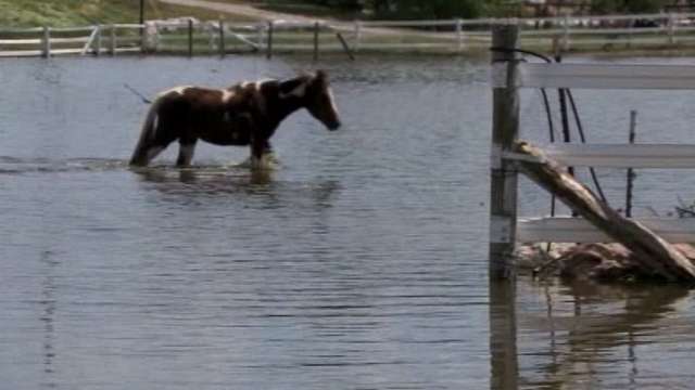 Many Weber County farmers have moved their horses to prevent them from getting thrush -- a disease that permanently damages their hooves.