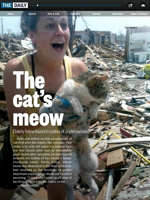 Elderly Cat Found Alive Weeks After Joplin Tornado