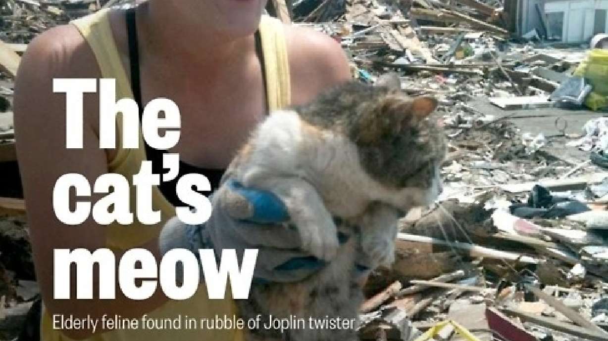 Elderly Cat Found Alive Weeks After Joplin Tornado