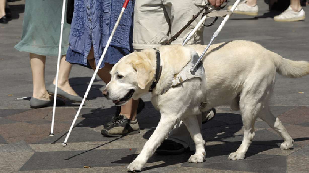 Blind groups at odds over state division's approach to training