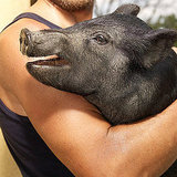 6 Extreme Ways to Scrimp and Save