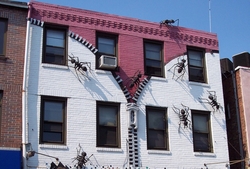 Naturally Get Rid of Ants in Your Kitchen