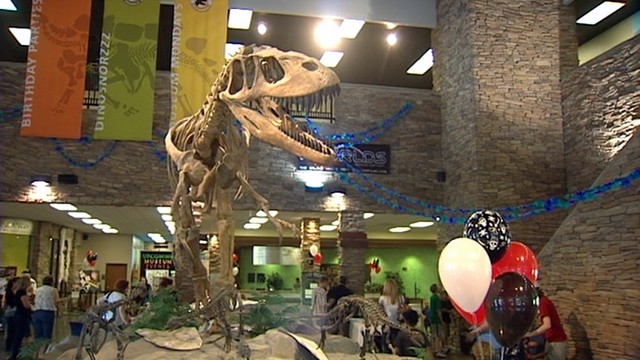 There are 60 dinosaur displays in the Museum of Ancient Life, but what sets this it apart are the hands-on displays.