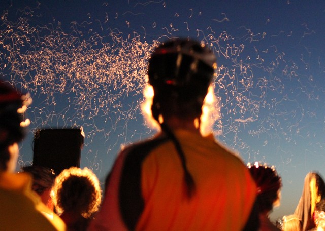 Antelope by Moonlight bike ride was enchanting