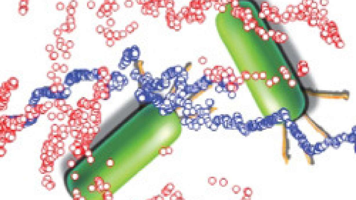 Study: Bacteria use grappling hook to slingshot around