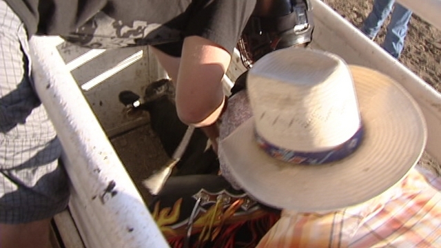 Cache County Fair is still a go, despite coronavirus concerns