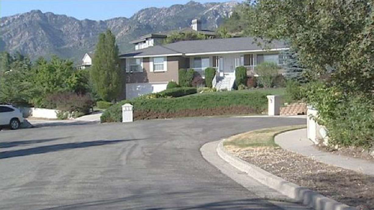 Police: Man pulled gun on dogs in self-defense