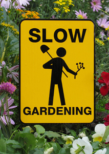Excerpts from Slow Gardening Review by Felder Rushing 