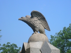 Debt Ceiling Contingency Plans