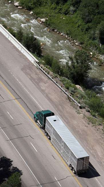 A truck hauling horses travels the highway near Helper, Friday, Aug. 5, 2011. The horses were impounded by federal agents at the port of entry. (Ravell Call, Deseret News)