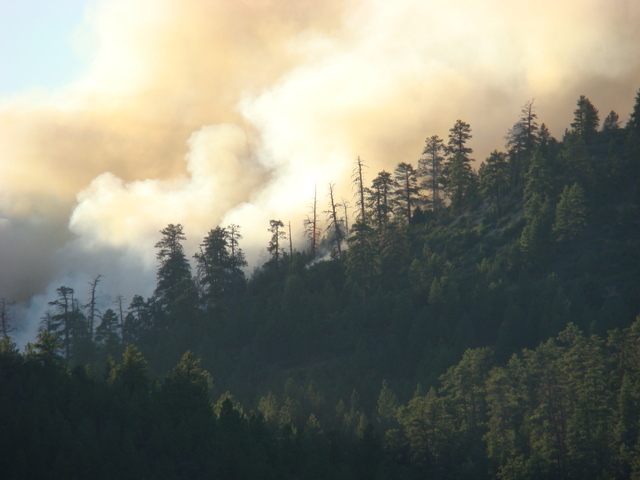 Crews battling Central Utah wildfire by land and air