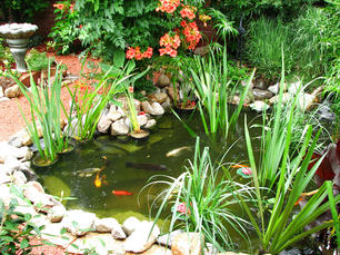 Ponds can provide a slice of heaven in your own back yard
