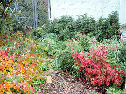 Landscaping: Planning Is The Key To A Beautiful Yard 