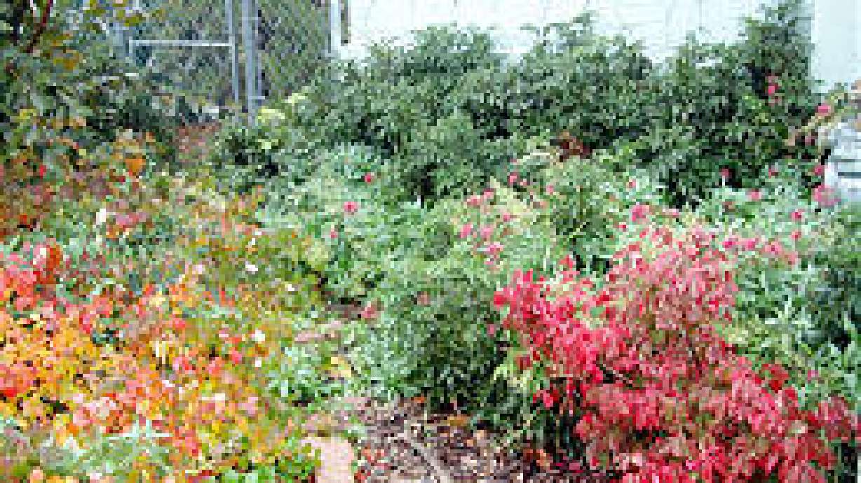 Landscaping: Planning Is The Key To A Beautiful Yard