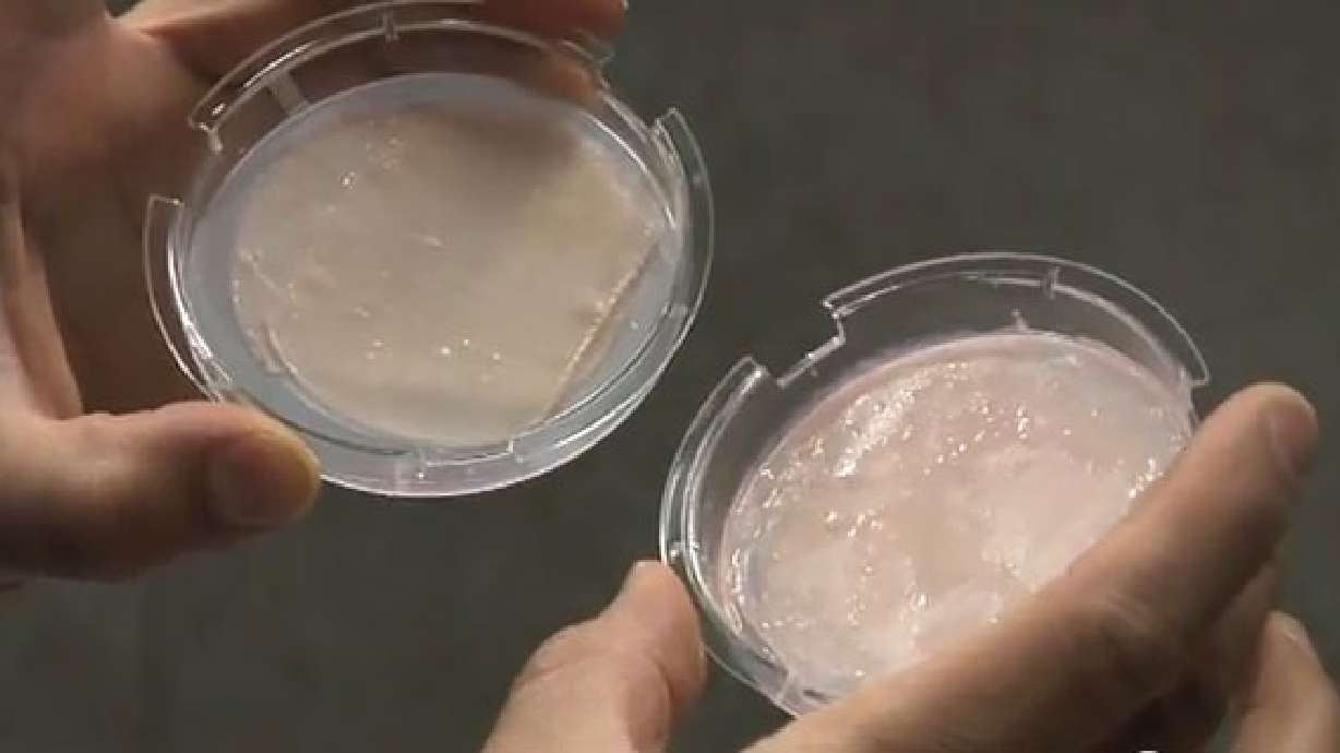 First spider goats, now bulletproof skin?