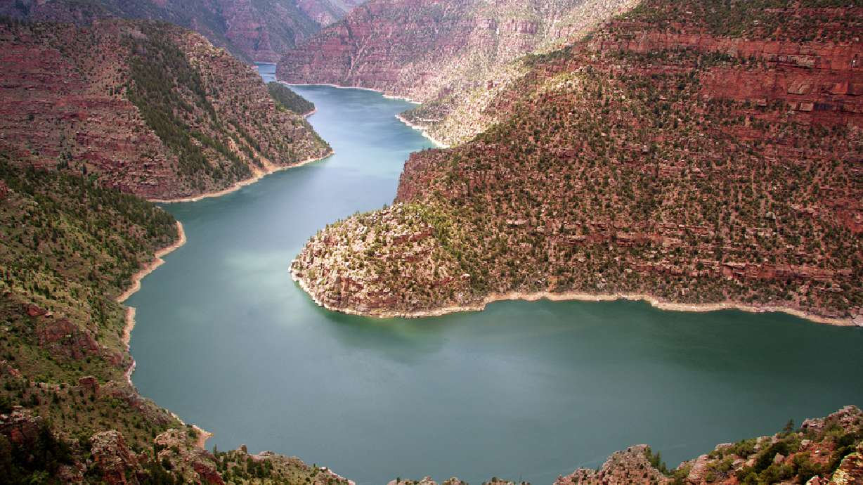 Quiz: Are you smarter than a 4th grader?