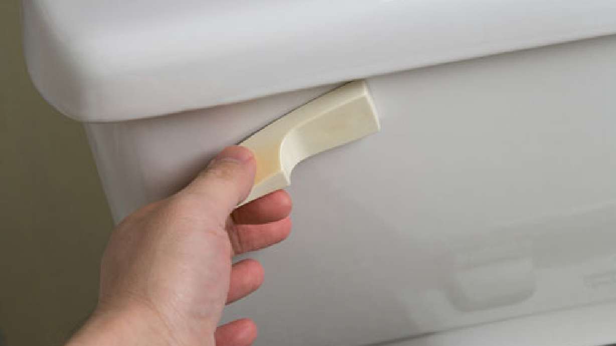 Serious MomSense: Thermos flushing