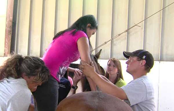 Woman who runs program for disabled children gets a High 5