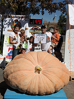 Pumpkin Time In Utah 