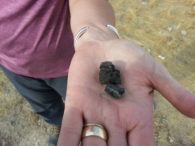 Charred wood could provide significant clues in Powell investigation