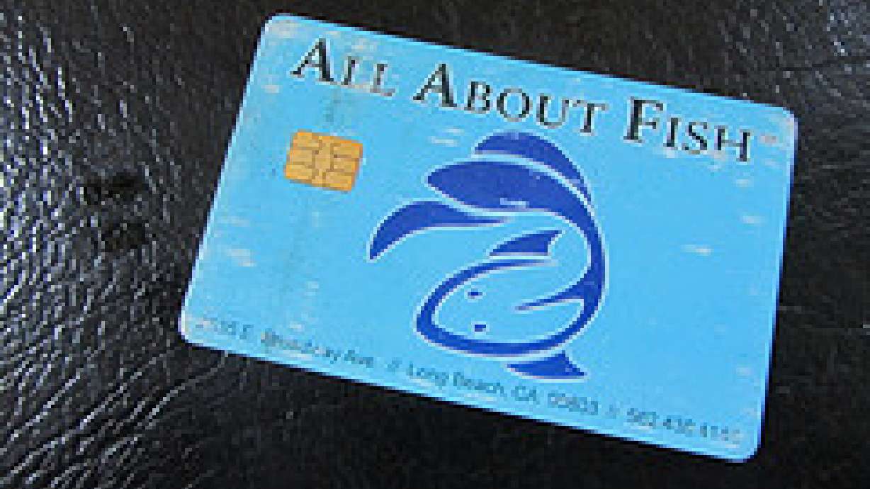 Visa Will Incentivize Stores To Install Smart Card Terminals