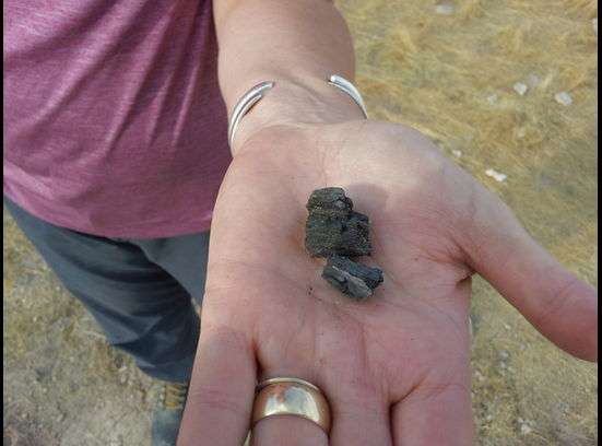 The small pieces of burned wood were found
buried about
2 1/2 feet in the ground after nearly a dozen
cadaver
dogs all "hit" on the area. The evidence was
collected and
will be analyzed by forensics and anthropology
experts in
Salt Lake City.