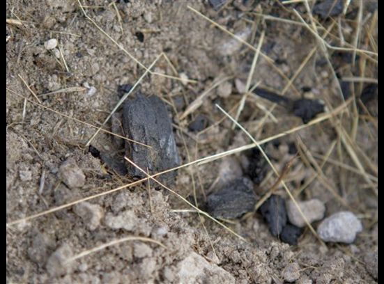 Searchers have found several objects over the 
past few days that they have either taken 
pictures of and documented or collected in an 
evidence bag. Some of those items include 
clothing, as well as charred pieces to which 
cadaver dogs strongly reacted.