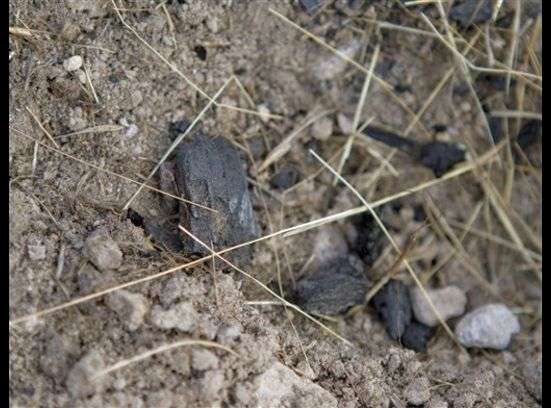 Searchers have found several objects over the
past few days that they have either taken
pictures of and documented or collected in an
evidence bag. Some of those items include
clothing, as well as charred pieces to which
cadaver dogs strongly reacted.