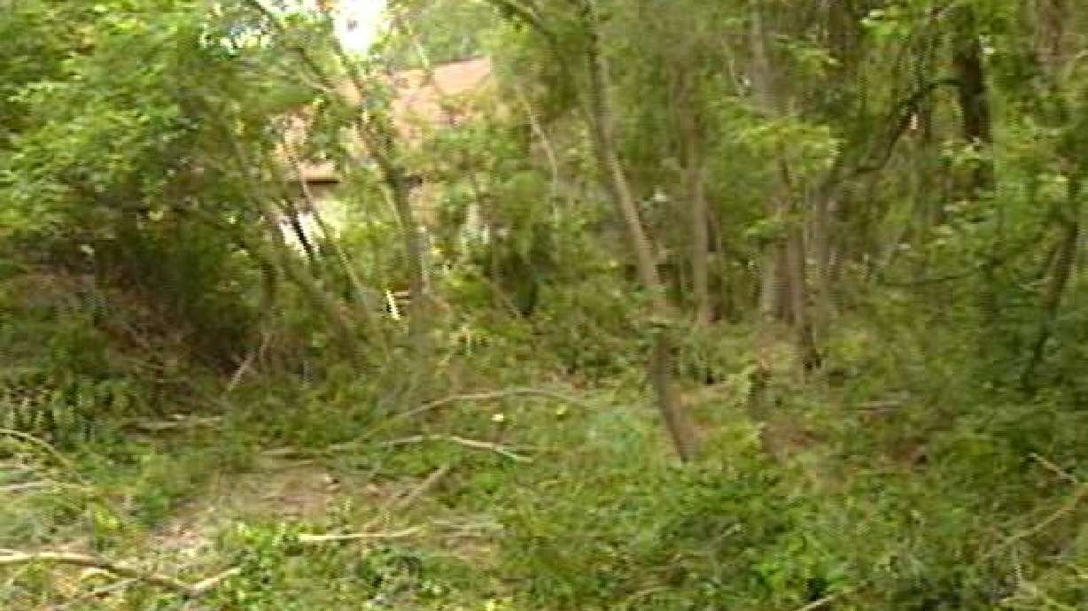 Attack victim sues Utah County, work-release program