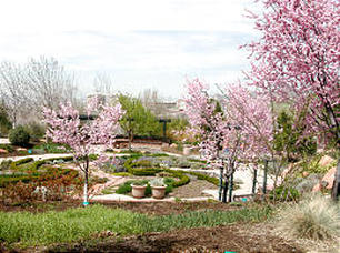 Fall Native Plant and Bulb Sale