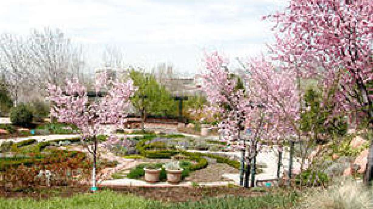 Fall Native Plant and Bulb Sale