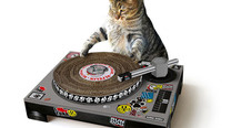 Cat Scratch Turntable Is the Only Stupid Thingamajig That Actually Needs a USB Connection [Toys]