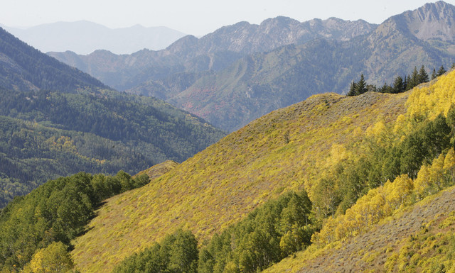 4-year-old boy rescued from Big Cottonwood kept alive by machine, family says