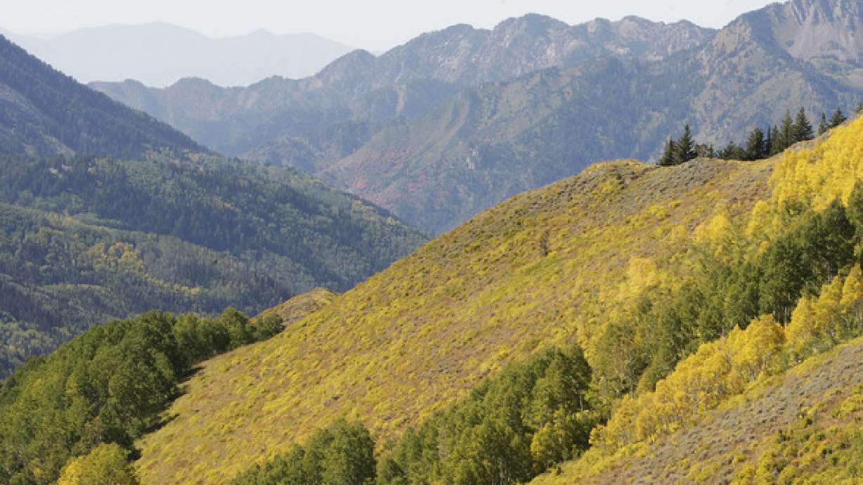 Views from Guardsman Pass in Big Cottonwood Canyon on Sept. 27, 2011. A family rescued from the Twin Peaks area of Big Cottonwood Canyon is asking for help as one young son remains hospitalized and fighting for his life.