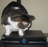 DirecTV DVR Makes Me Watch Ads... But Only For DirecTV