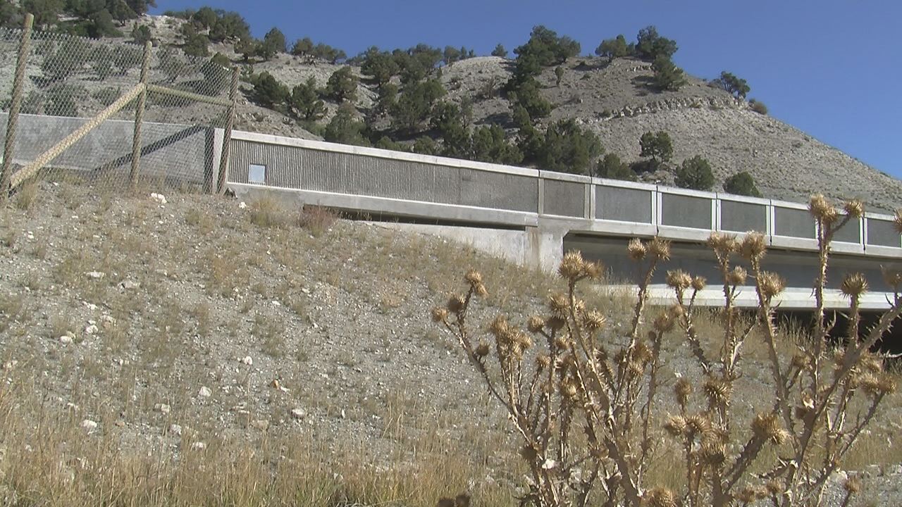 UDOT bridges help drivers and wildlife travel safely