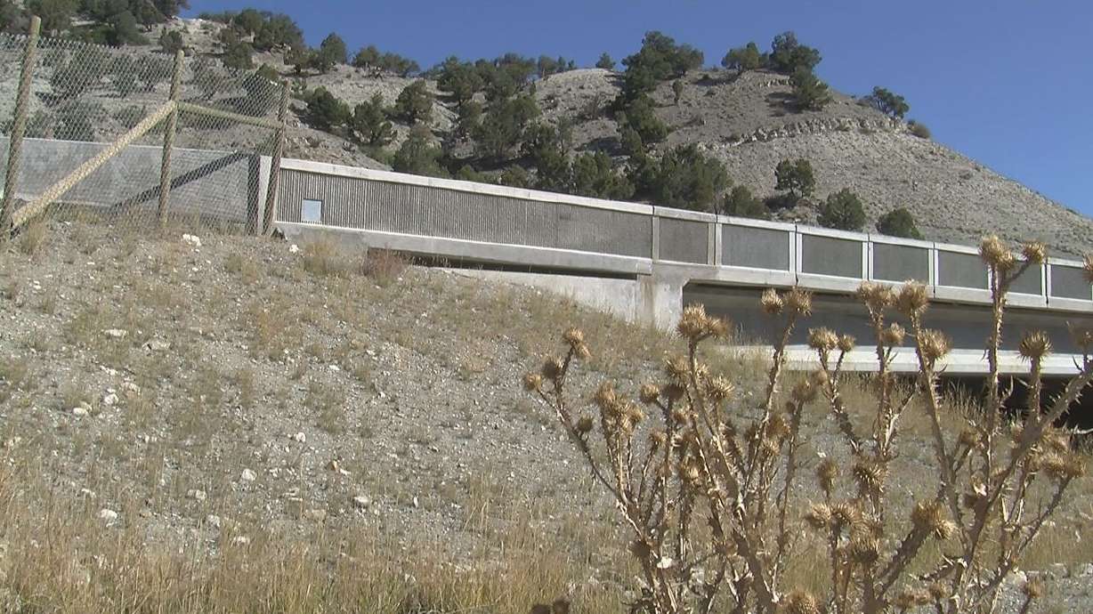 UDOT bridges help drivers and wildlife travel safely