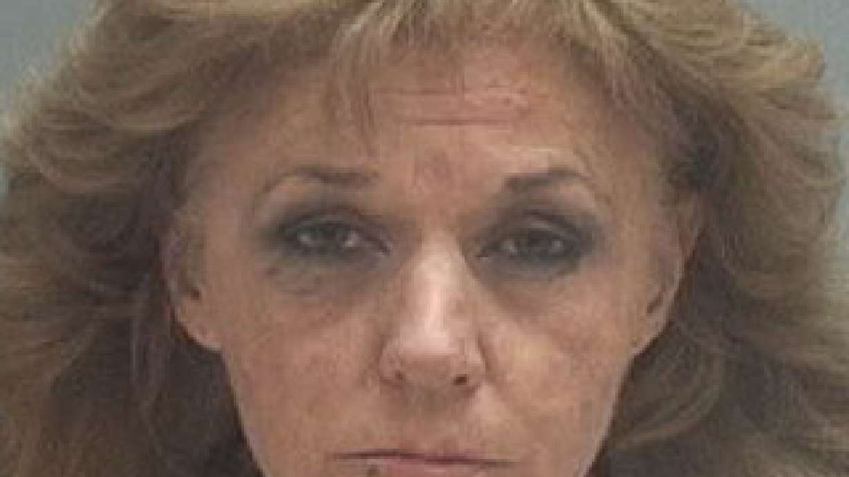 Serial bathroom burglar arrested