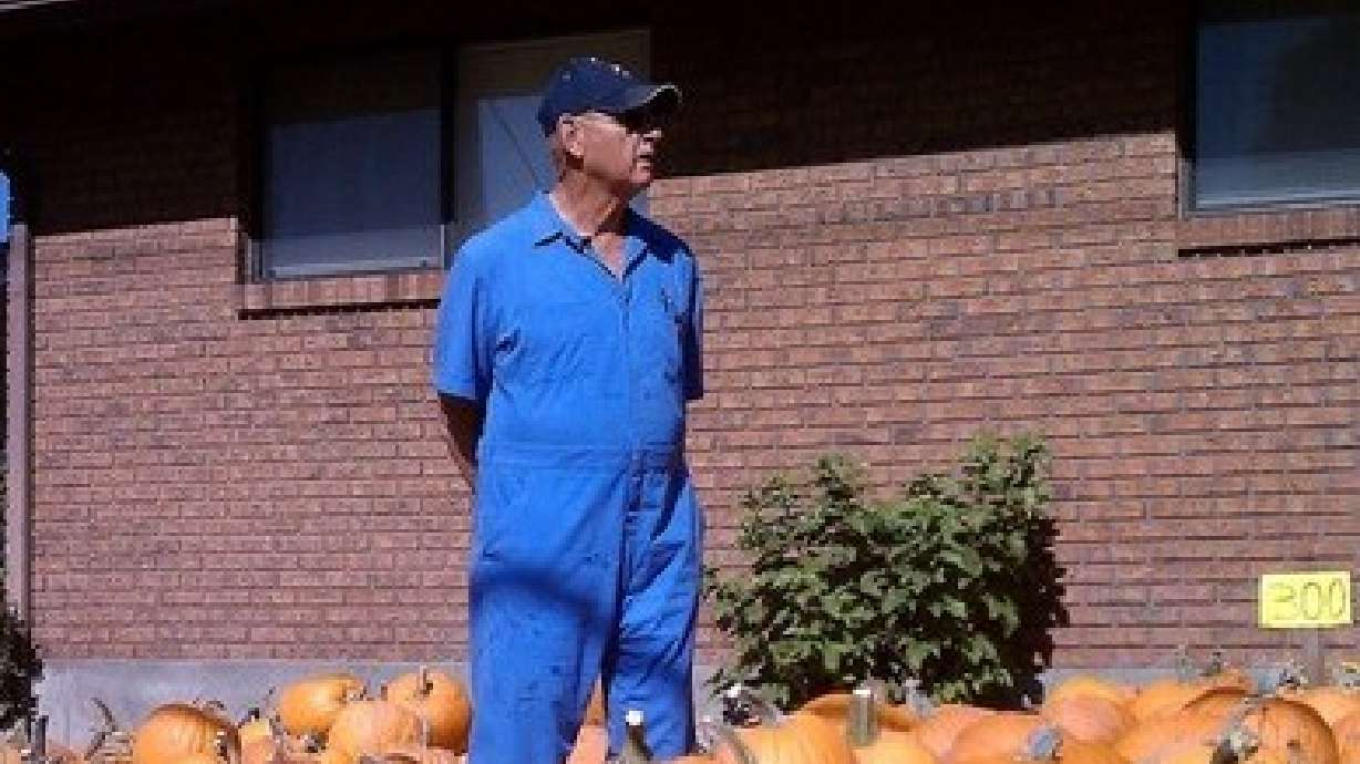 Orem man will continue to sell pumpkins this year