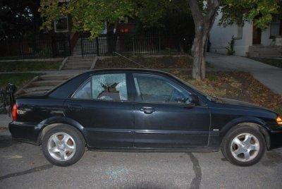 Cars damaged by BB gun