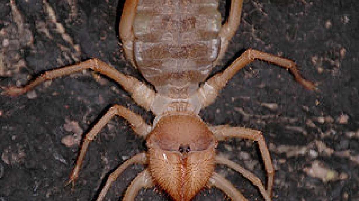 Science Top 5: Most terrifying animals