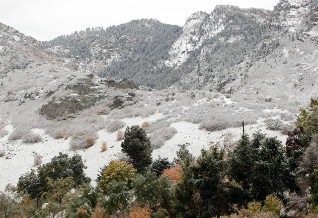 Autumn leaves still have not fallen from the trees at the mouth of Big Cottonwood Canyon in Salt Lake County Tuesday, Nov. 1, 2011.  (Photo: Jeffrey D. Allred, Deseret News)
