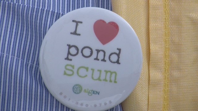 Pond scum turns to fuel with USU project