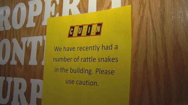 Four rattlesnakes showed up inside a WSU surplus and printing building in the last week, as this notice show. Steps are now being taken to rid the building of the serpents.