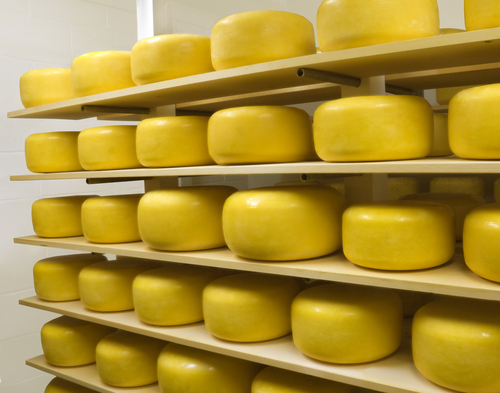 'Mr. Cheese' cited in Salmonella outbreak