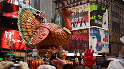 The Best and Worst Things to Buy in November